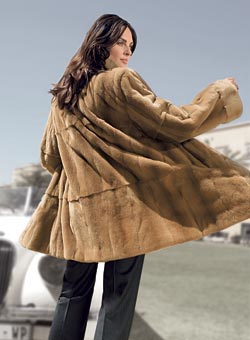 Dmoch Collection Dmoch Collection